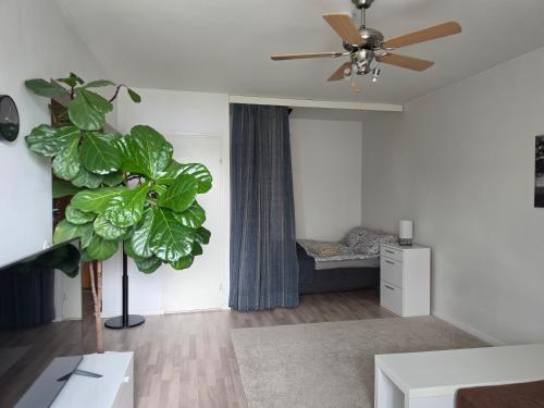 a living room with a ceiling fan and a plant at Linnankatu Apartment in Savonlinna