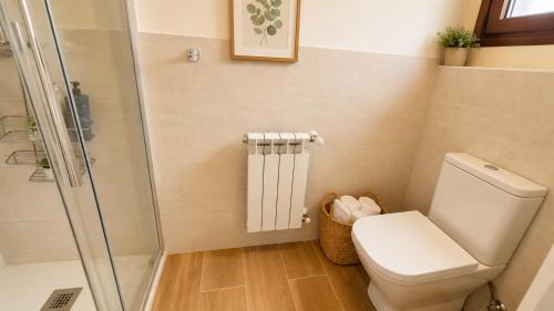 a bathroom with a toilet and a shower at La Cuadra de San Pedro Ribadesella in Ribadesella