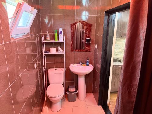 a bathroom with a pink toilet and a sink at Hotel Liza in Batumi