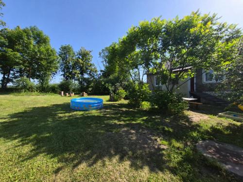 a blue frisbee on the grass in a yard at Nad stawem dom in Pietkowo