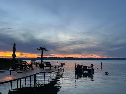 a dock with chairs and a palm tree on a lake at Viktoria House in Balatonszárszó