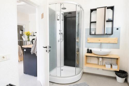 a bathroom with a shower and a sink at Pasta Kvartāls Inn in Ogre