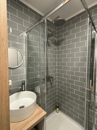 a bathroom with a sink and a glass shower at East Mountain Villa - Private Nature Retreat in Baranja in Batina