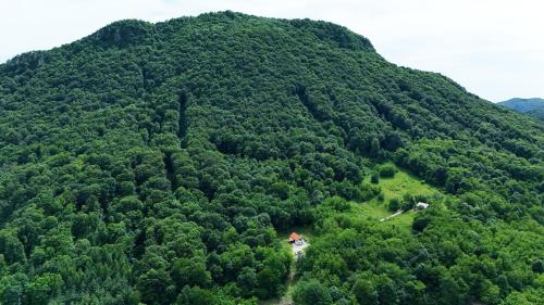 an aerial view of a large forested mountain at Kuća za odmor Čevo in Podevčevo