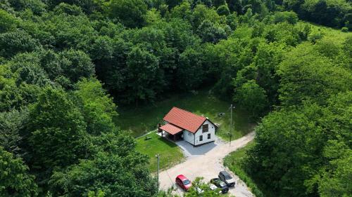 a small house in the middle of a forest at Kuća za odmor Čevo in Podevčevo
