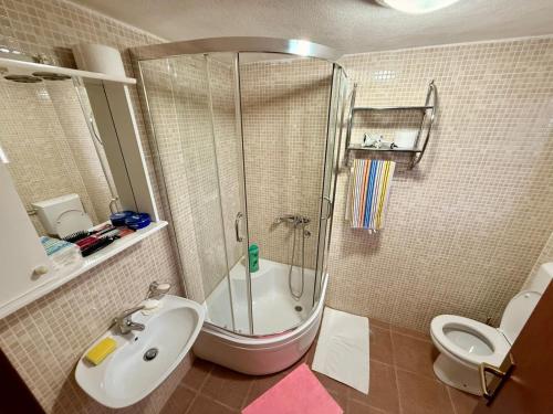 a bathroom with a shower and a sink and a toilet at The Mountain's Embrace Villa in Gluhi Do