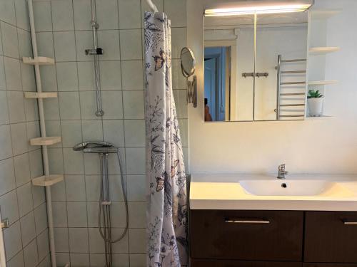 a bathroom with a shower and a sink at Höga kusten Berghamn in Noraström