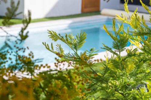 Villa Mimosa - Pool - Air conditioning - Near Avignon