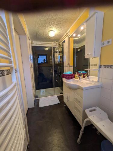 a bathroom with a shower and a sink and a mirror at Ferienwohnung Am Apelsberg in Neuhaus am Rennweg