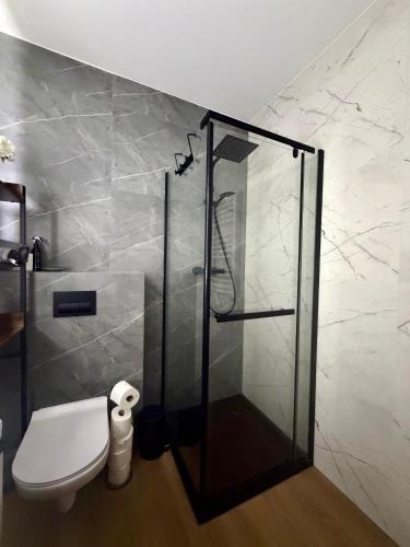 a bathroom with a glass shower with a toilet at Mazury Mood kawalerka studio in Giżycko