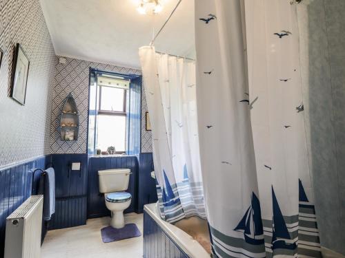 a blue bathroom with a toilet and a shower curtain at Keepers Cottage in Peterhead