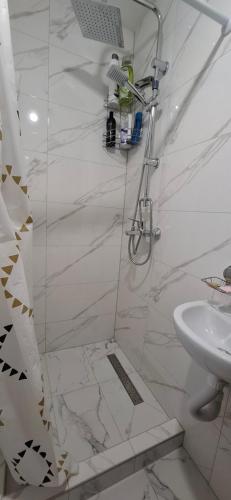 a bathroom with a shower and a sink at Apartman SAVKA in Gornji Ribnik