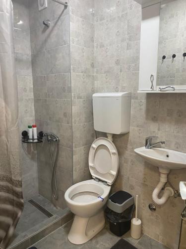 a bathroom with a toilet and a sink and a shower at Dona1102 in Žarkovo