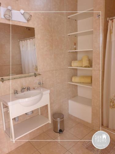 a bathroom with a sink and a shower at SAN TAURO VIEDMA in Viedma