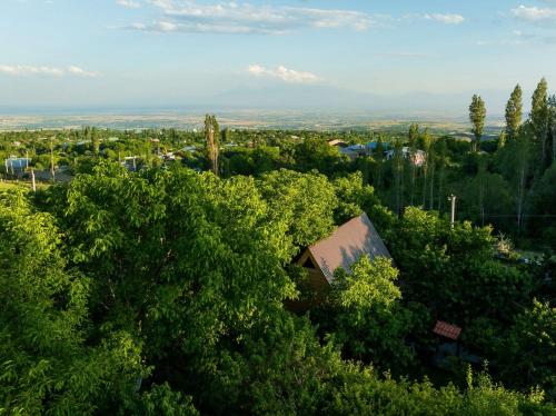 an overhead view of a forest of trees and a building at Byurakan Guesthouse & Cottage in Byurakan