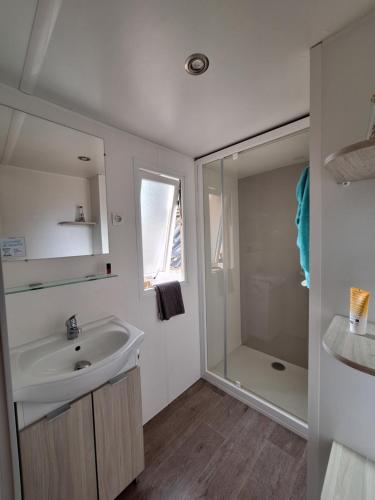 a bathroom with a sink and a shower at Les rives d'Auzon in Lavilledieu