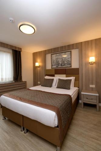 a bedroom with a large bed in a room at Pera Arya Hotel in Istanbul