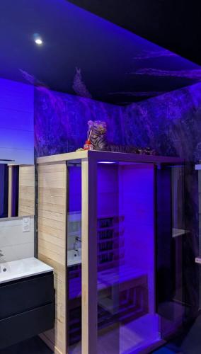 a bathroom with purple lighting in a room at spa de la quarterelle LOVE ROOM 88 VOSGES in Remiremont