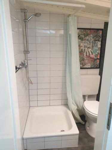 a small bathroom with a toilet and a shower at Chalet Ritz Ferienhaus in Dieblich