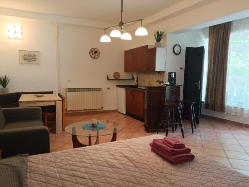 Cheapest big studio apartment with terrace direct to sandy beach