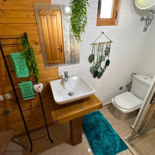 a bathroom with a sink and a toilet at Careva staza in Nikšić