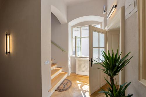 a hallway with stairs and a potted plant at Casa Di Paolo in Sibiu