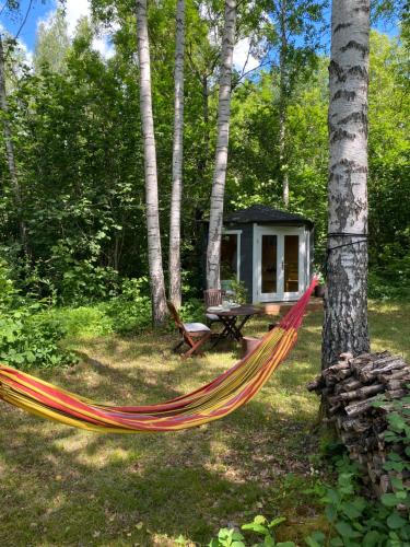 a hammock in front of a cabin in the woods at Pendu talu kämping in Orissaare