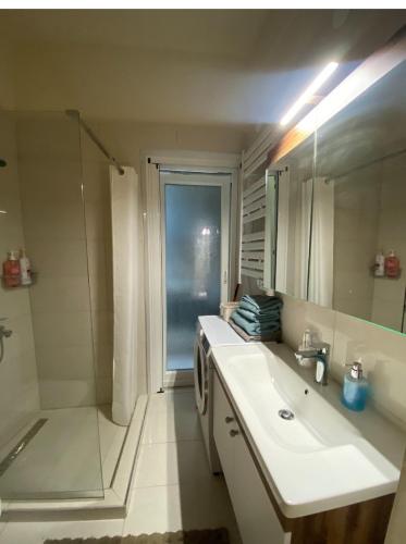 a bathroom with a white sink and a shower at Jasmine Studio 3 Pigadia Siatista in Siátista