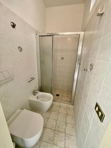 a bathroom with a shower and a toilet and a sink at Rosmarino Apartment in Seccheto