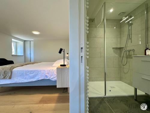 a bedroom with a bed and a glass shower at La Ferme de Sainte Isabelle in Montlay-en-Auxois