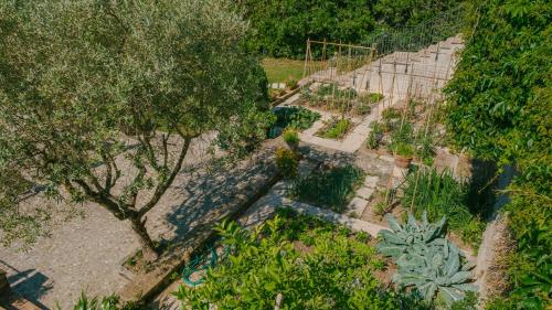an overhead view of a garden with plants at Corte Pulchra - Italian Homing in Pozzolengo