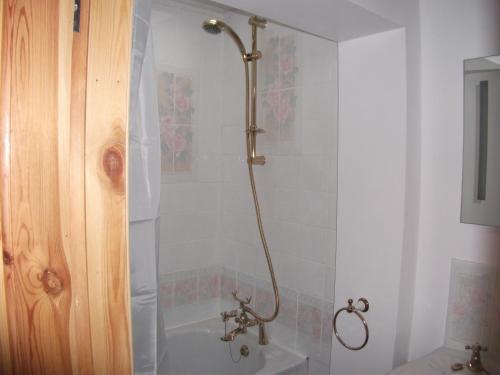 a shower in a bathroom with a sink at Bryn Cottage in Llandderfel