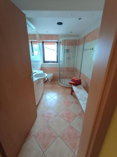 a bathroom with a shower and a toilet and a sink at Hainich-Ferienwohnung in Hörselberg-Hainich