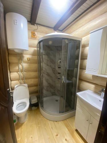 a bathroom with a shower and a toilet and a sink at Подих Лісу 2 in Synevyrsʼka Polyana