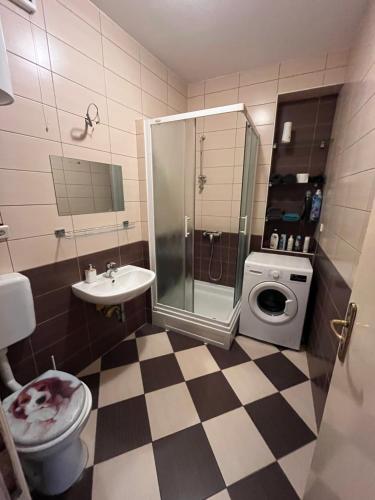 a bathroom with a shower toilet and a sink at STUDIOAPARTMANI JEDVAJ in Krapina
