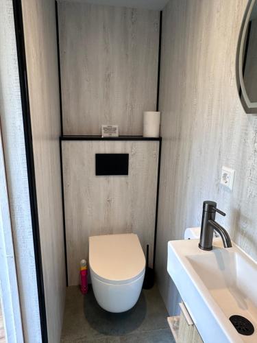 a bathroom with a toilet and a sink at Barefoot Cottage in Noordwijk