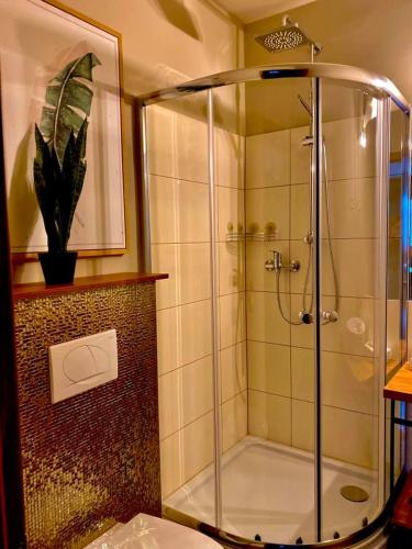 a shower with a glass door in a bathroom at Bali Butique Rooms in Nyergesújfalu