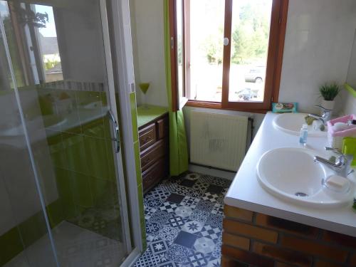 a bathroom with a sink and a shower at Chambre d'hôtes les Rosiers in La Flèche