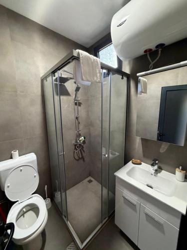 a bathroom with a shower and a toilet and a sink at NiL Cottage in Ulcinj