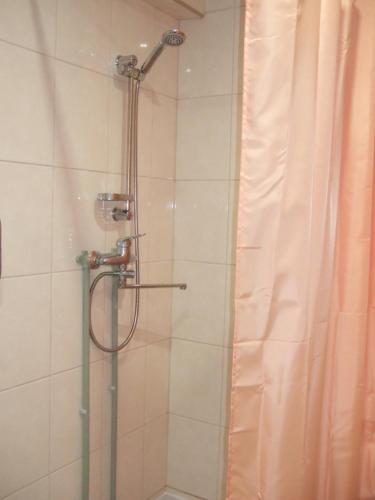 a bathroom with a shower with a glass door at Kogudusemaja külalistoad in Narva-Jõesuu