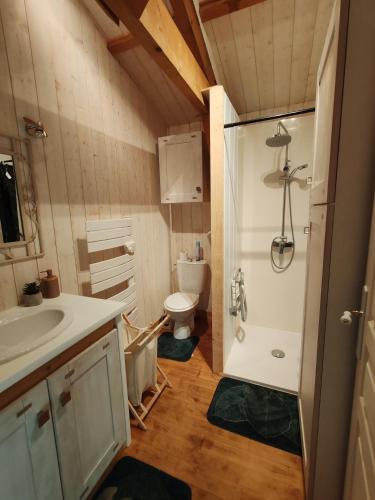 a bathroom with a sink and a toilet at Le chalet Campy in Moustier
