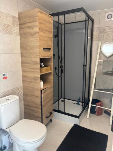 a bathroom with a toilet and a shower at La Palissandre in Tallard