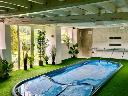 a large swimming pool in a room with plants at Lark - Ukc6105 in Wootton Fitzpaine