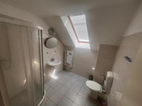 a bathroom with a toilet and a sink and a skylight at Sudický Dvur in Boskovice
