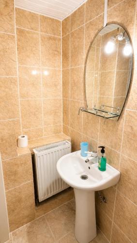 a bathroom with a sink and a mirror at Tuz House R1 in Bakuriani