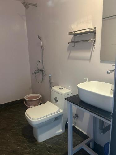 a bathroom with a toilet and a sink at Seashell Cottages Palolem in Canacona