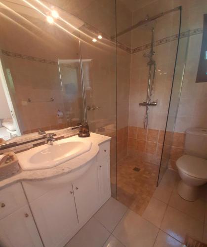 a bathroom with a shower and a sink and a toilet at Ô Reflet du Lac in Groléjac