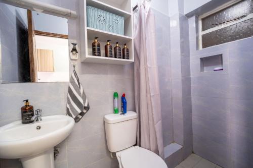a bathroom with a toilet and a sink and a shower at Studio Apartment with balcony in Ngara in Nairobi