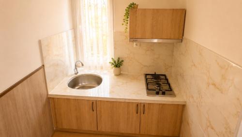 a small kitchen with a sink and a stove at Tuz House R2 in Bakuriani