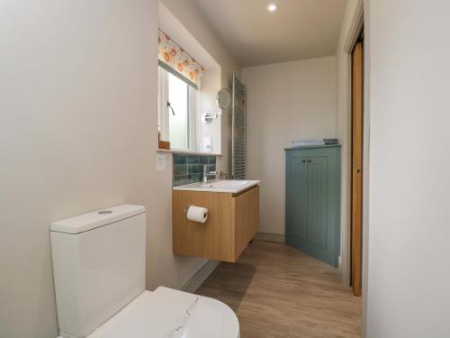 a bathroom with a toilet and a sink at Poppy Patch in Bicester